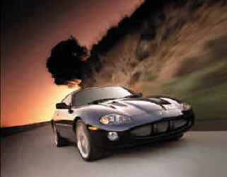 jaguar pic